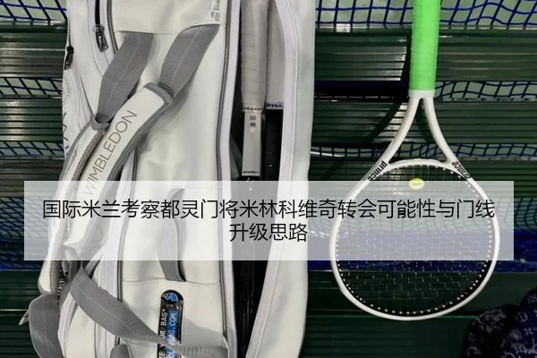 国际米兰考察都灵门将米林科维奇转会可能性与门线升级思路